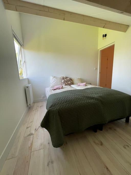 Modern Beach House For 12 Pers! With Jacuzzi Julianadorp Εξωτερικό φωτογραφία